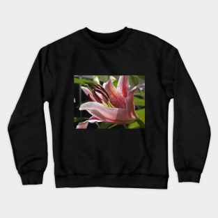 Beautiful photograph of lily flower Crewneck Sweatshirt